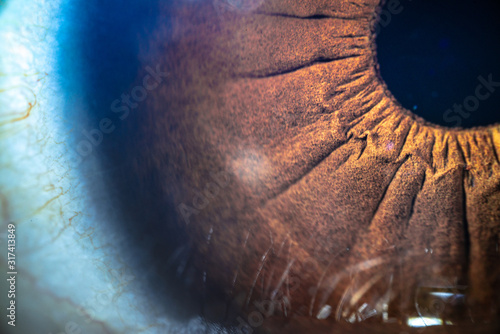 Eyeball Close Up
