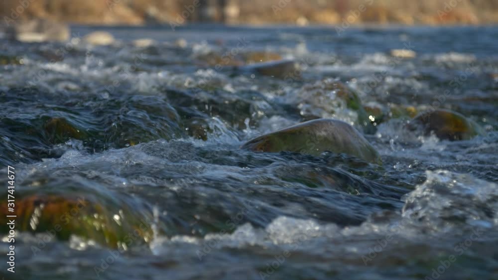 Slow low angle slow motion slider shot pushing forward over small river rapids at sunset. Shallow focus near and deep. Slow low angle slow motion slider shot pushing forward over small river rapids at sunset. Shallow focus near and deep.