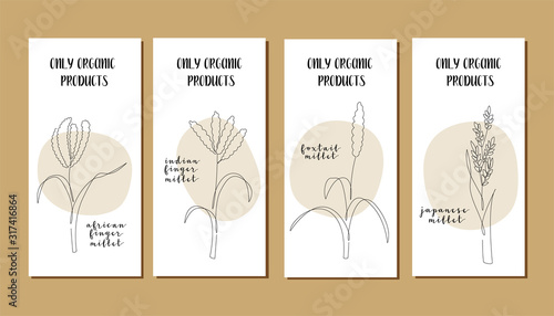 Set of flyers with continuous line millet. Vector line art. Perfect for logo, business cards, cafe menu, restaurant banners, food flyers, icon, packaging design