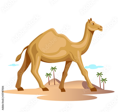 rajasthan camel walking in desert isolated vector © movinglines.studio