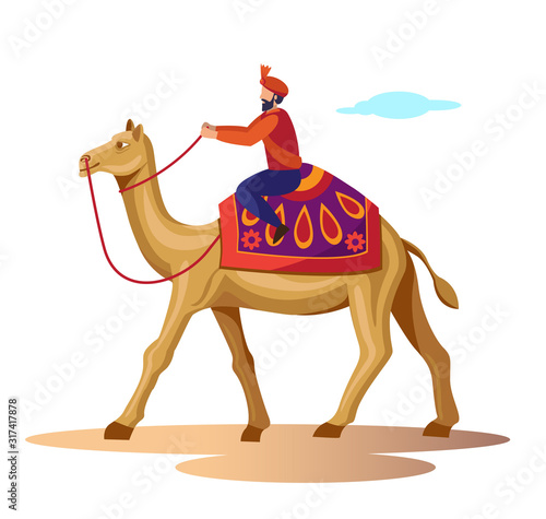 rajasthan culture royal man riding on camel vector