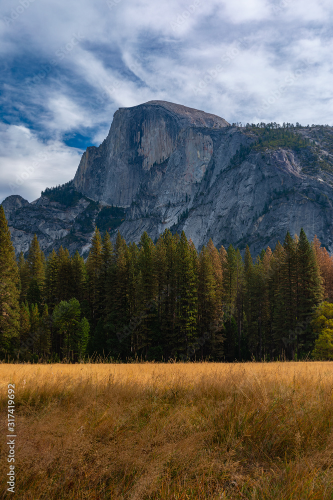 Grass Field Before Half Dome, Yosemite Valley