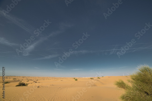 Desert landscape at the Emirates