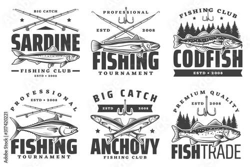 Fishing sport icons, sardine and anchovy, codfish icons. Fishery equipment, fishing rods and baits. Big catch, trophies on fishing sport
