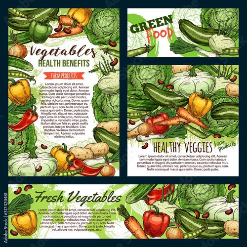 Green food, fresh vegetables and farm product frames sketches. Vector healthy veggies, carrot and cucumbers, pepper and zucchini. Onion and cauliflower, beans and peas legumes, cabbage and potato