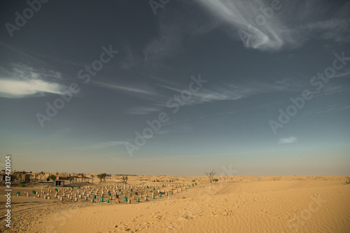 Desert landscape at the Emirates