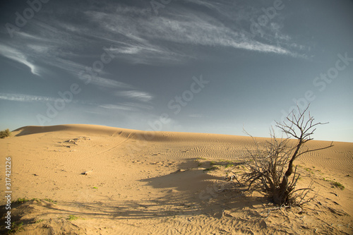 Fototapeta Naklejka Na Ścianę i Meble -  Desert landscape at the Emirates