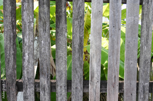 Old wooden fence © rufar