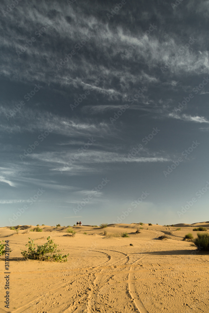 Naklejka premium Desert landscape at the Emirates