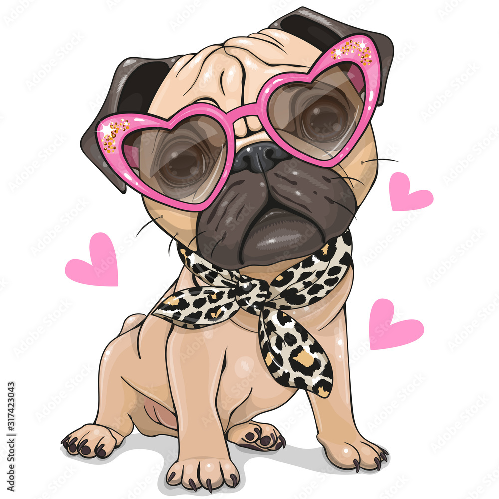Fototapeta Pug Dog with pink glasses and scarf isolated