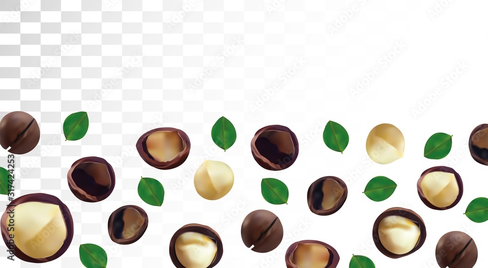 Obraz premium 3D realistic macadamia nut isolated on transparent background. Shelled and unshelled Macadamia nuts with green leaf. Organic macadamia. Vector illustration