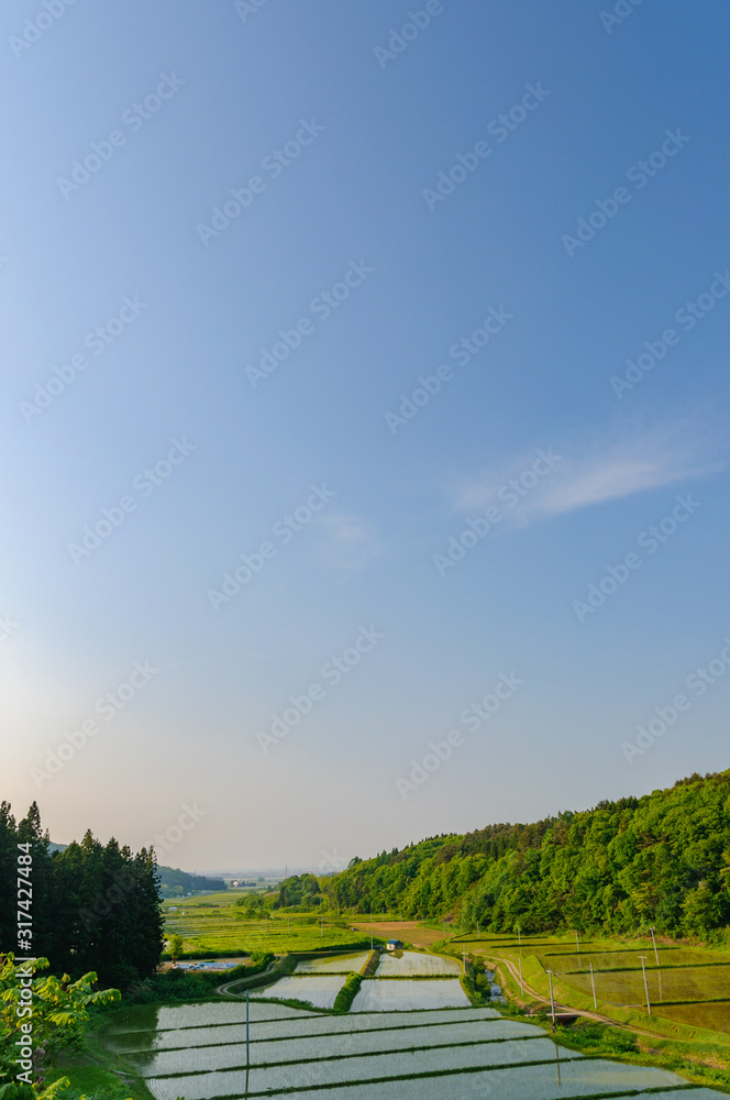 Obraz premium 里山と田んぼ