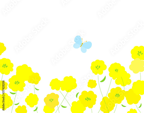 菜の花と蝶　背景イラスト