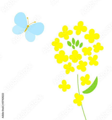 菜の花と蝶　クローズアップ