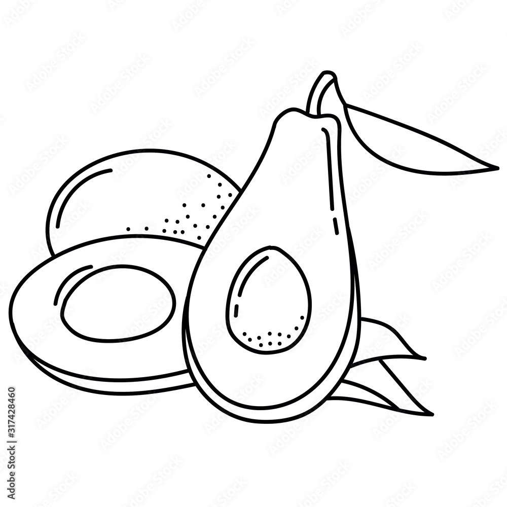 Hand drawing avocado; black and white vector illustration; vegetable doodle illustration for stickers, posters, seasonal design. Hand drawing avocado; black and white vector illustration; vegetable doodle illustration for stickers, posters, seasonal design.