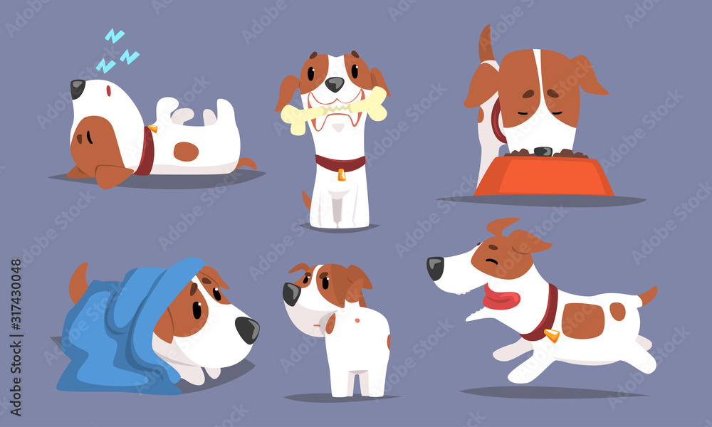 Cute Beagle Dog in Various Poses Collection, Funny Pet Animal Character Cartoon Vector Illustration Cute Beagle Dog in Various Poses Collection, Funny Pet Animal Character Cartoon Vector Illustration