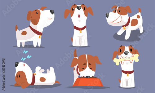 Cute Beagle Dog Collection, Funny Pet Animal Character in Different Situations Vector Illustration