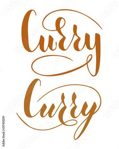 Vector hand written curry text isolated on white background. Kitchen healthy herbs and spices for cooking. Script brushpen lettering with flourishes. Handwriting for banner, poster, product label