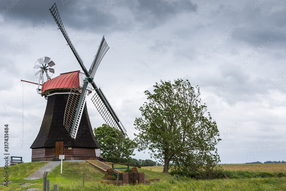 Obraz premium Typische Landschaft in Ostfriesland mit Windmühle nahe der Stadt Leer, Niedersachsen, Deutschland