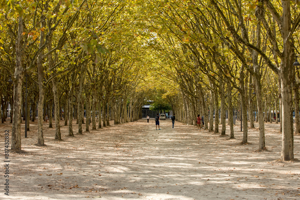  Public garden along Place des Quinconces, Bordeaux France, with a canopy of green trees.