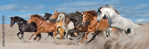 Horse herd run gallop in desert sandy dust against blue sky