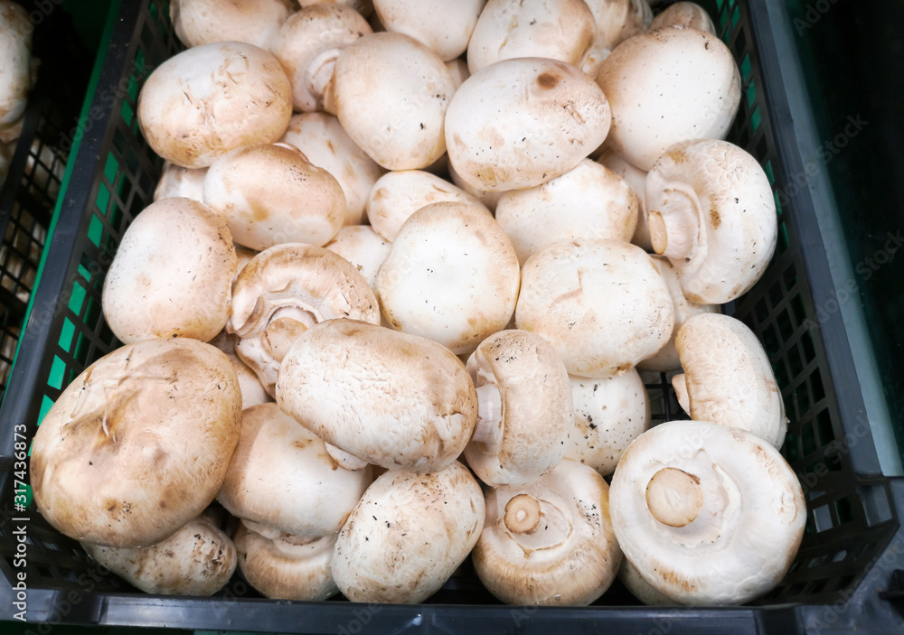 white champignons in a plastic box put up for sale in a large shopping center white champignons in a plastic box put up for sale in a large shopping center