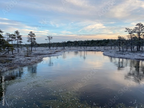 frozen bog lake