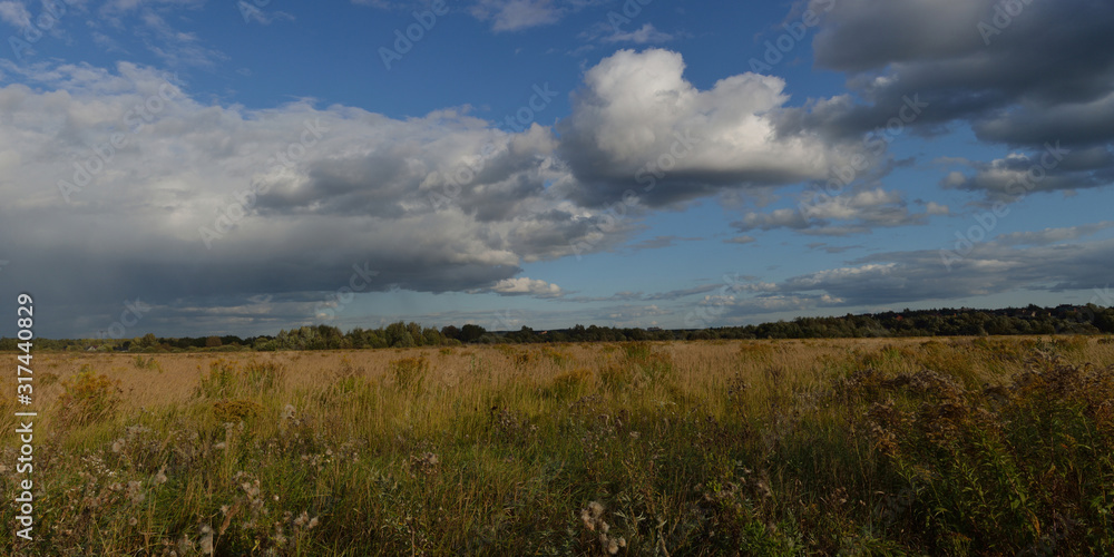 Walking through the forest, beautiful panorama. Walking through the forest, beautiful panorama.