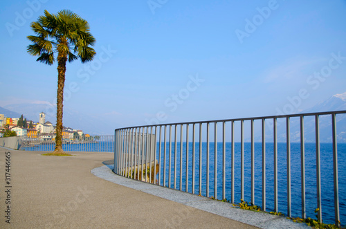 Walkway on the Waterfront with Palm Trees in Switzerland.