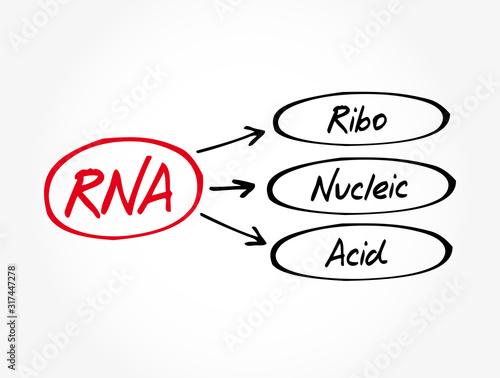 RNA - Ribonucleic acid acronym, medical concept background