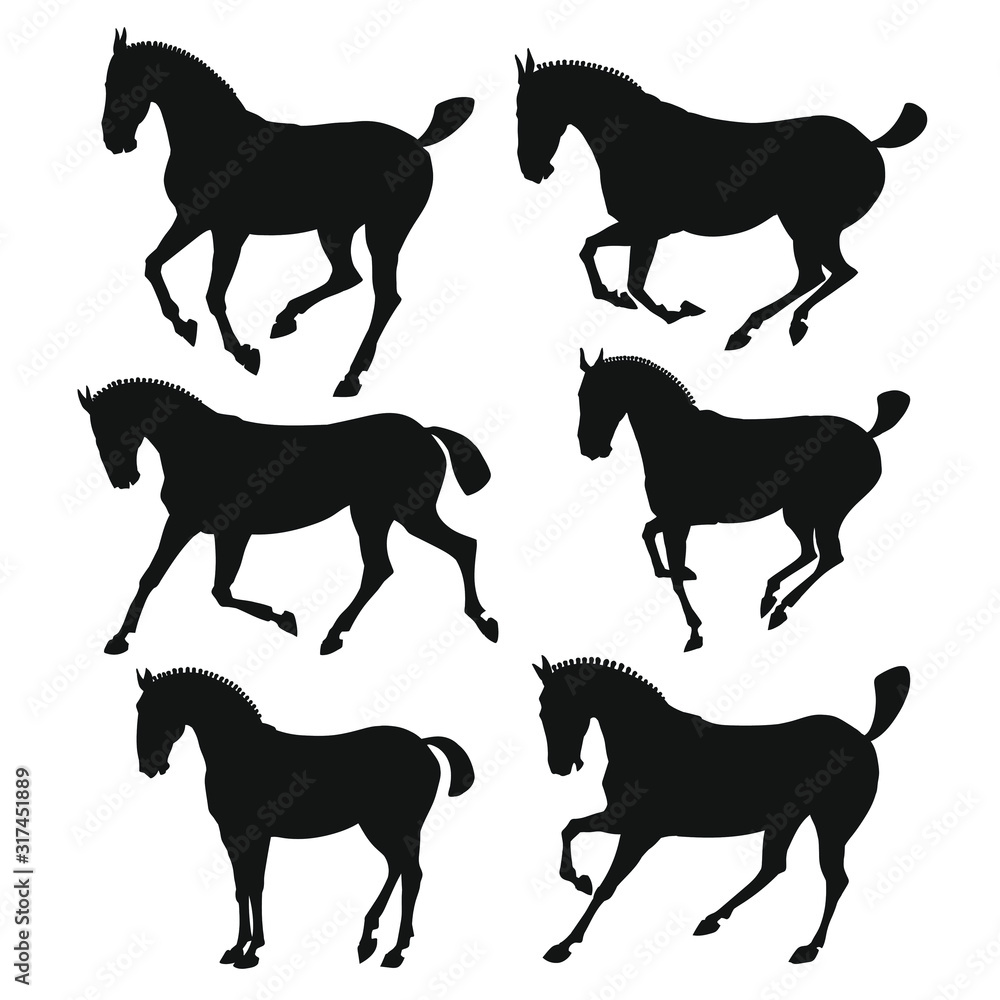 Silhouette of horses. vector illustration isolated on white