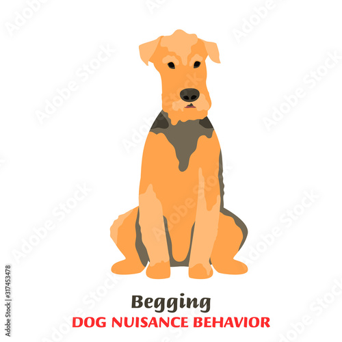 Dog Behavior Problems Icon
