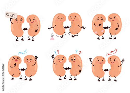 Set of cartoon characters kidneys.