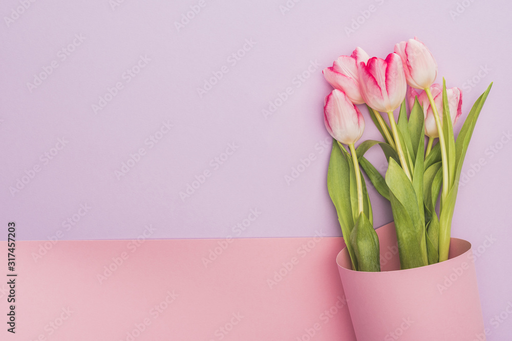 Fototapeta premium top view of tulips wrapped in pink paper swirl on violet background