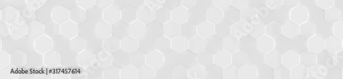 Wide White Hexagon Background (Website head) (3d illustration)