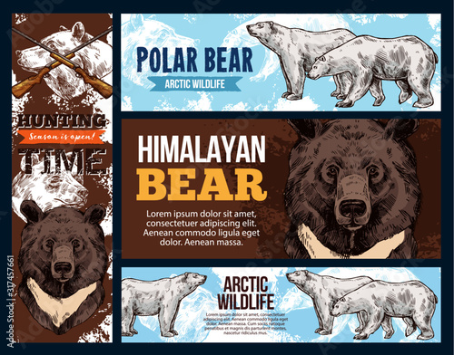Polar andhimalayan bears, wildlife and hunting. Vector white and brown bear animal sketches. Full length and muzzle of asian black bear and ursus maritimus