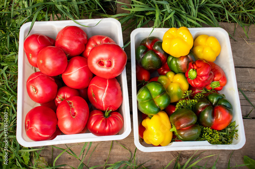 Fresh vegetables