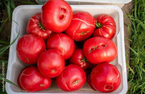 Tomatoes on a box