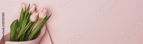 top view of tulips wrapped in paper on pink background, panoramic shot