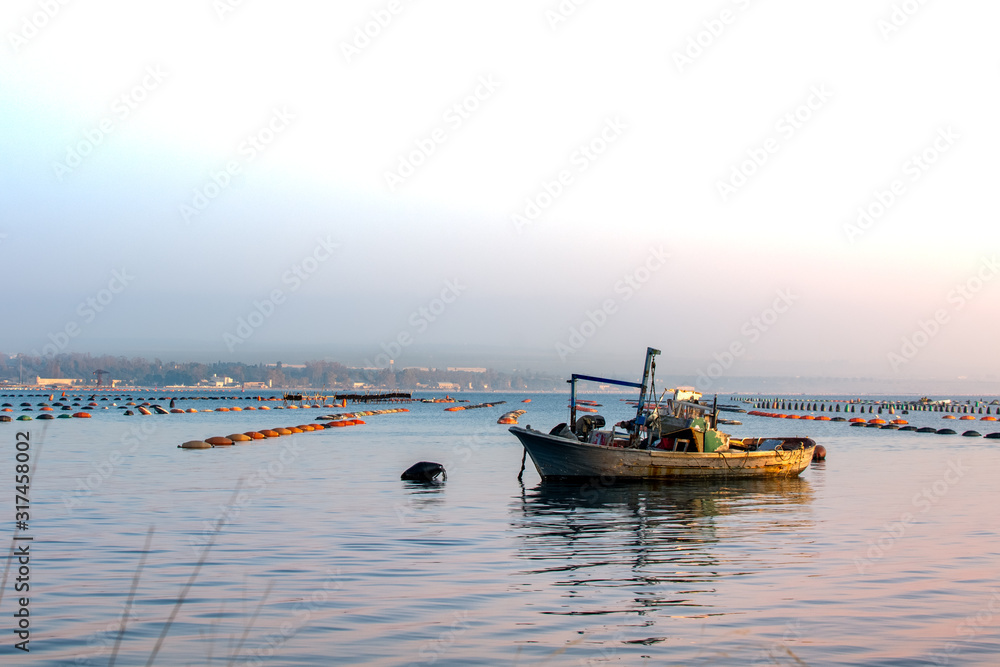 Fototapeta premium Small Boat Moored in Vicinity of Mussil Plantation In Italy
