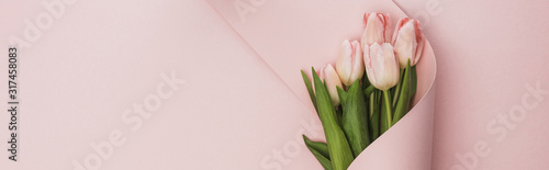 Fotografija Top view of tulip bouquet wrapped in paper swirl on pink background, panoramic s