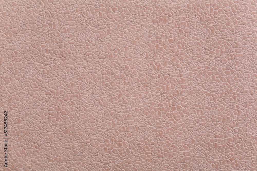 Fototapeta premium fabric texture