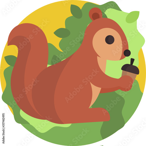 squirrel with acorn illustration vector
