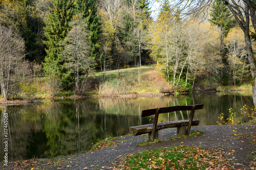 Empty wooden bench on a small lake in a forest © Claudia Evans 