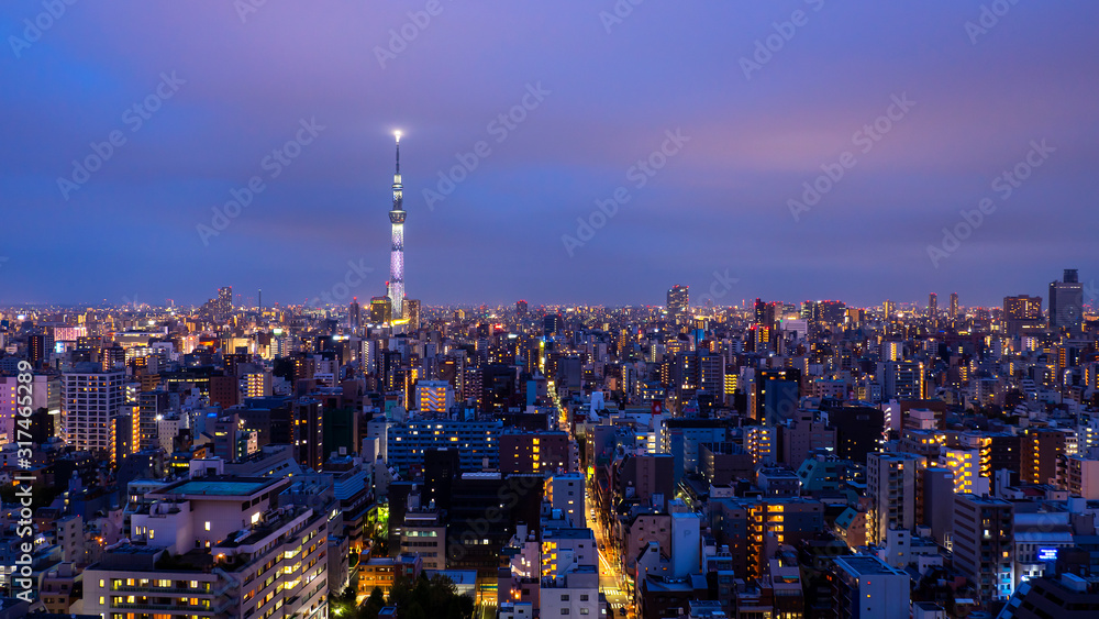 Obraz premium Tokyo cityscape Night light 12