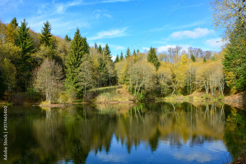 Small lake in a forest, in autumn in the Rhön, Germany