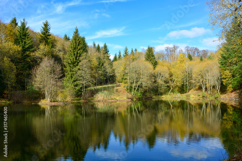 Small lake in a forest, in autumn in the Rhön, Germany