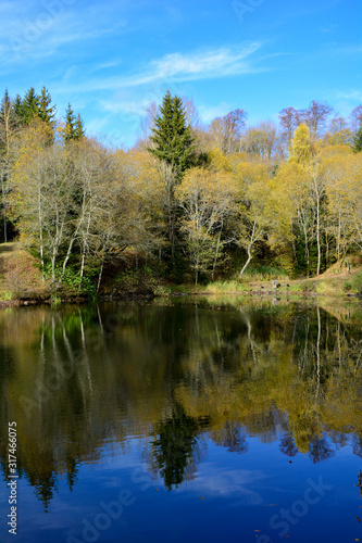A lake in a forest, with blue sky and reflection