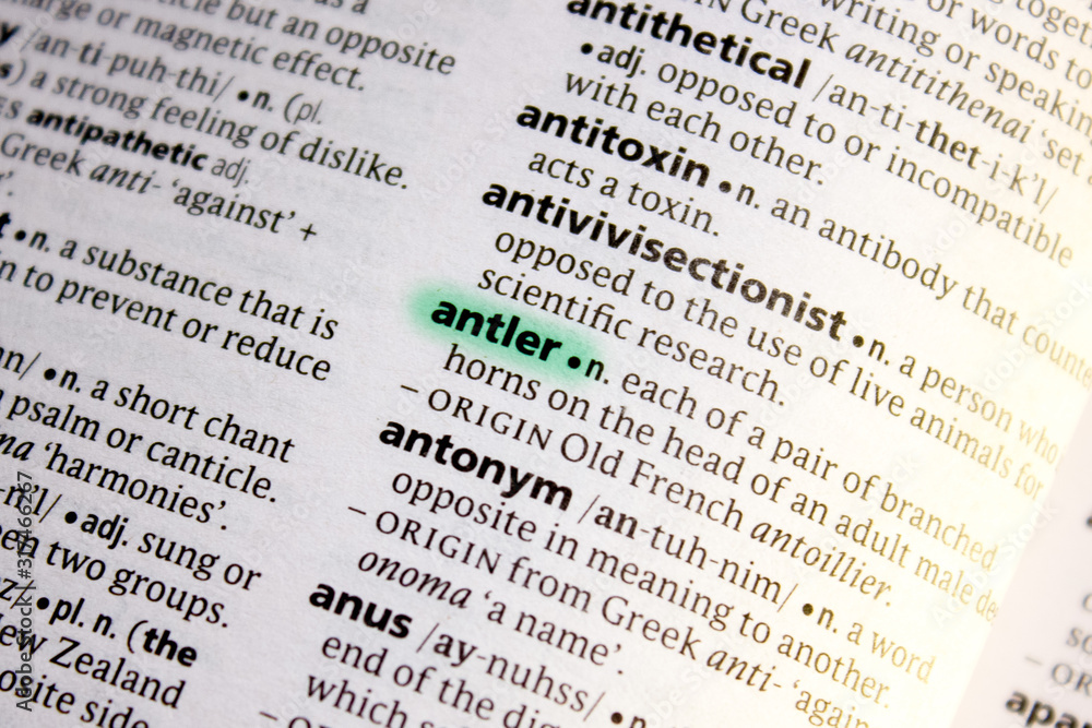 Antler word or phrase in a dictionary. Antler word or phrase in a dictionary.