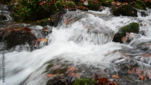Panning shot of water flowing over rocks in babbling brook in forest photo